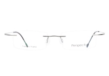 Perspective 2027 Gun