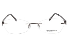 Perspective 2028 Brown