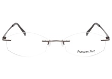 Perspective 2030 Brown