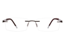 Perspective 2055 Brown