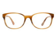 Salvatore Ferragamo SF2619 260 Brown Horn