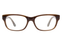 Salvatore Ferragamo SF2645 217 Brown Horn