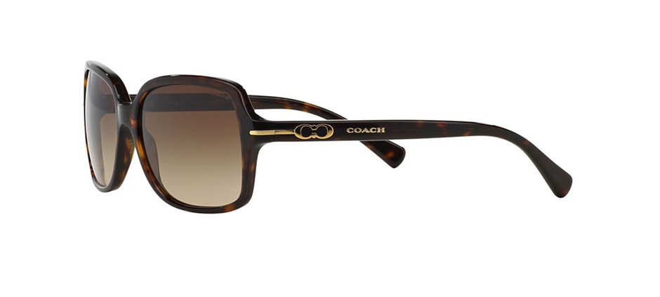 product image of Coach HC8116-56 Dark Tortoise