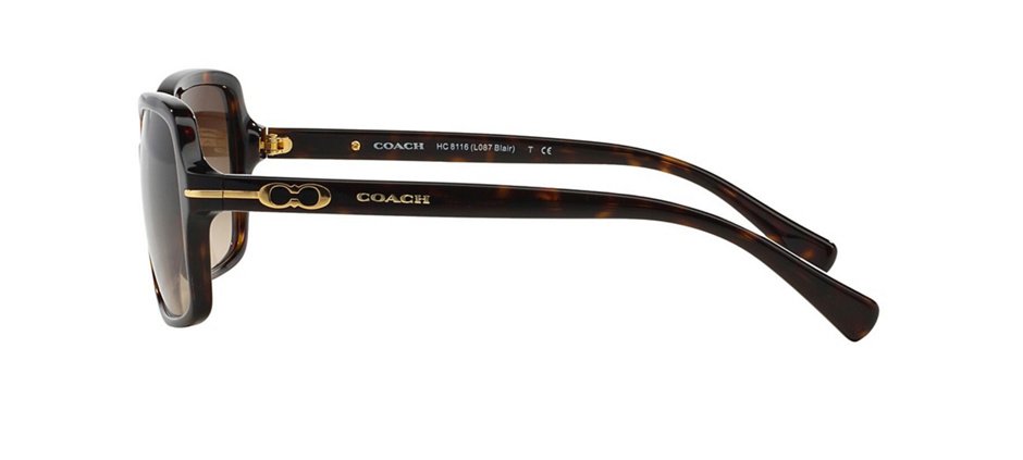 product image of Coach HC8116-56 Dark Tortoise