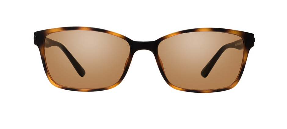 product image of Main And Central Encino-51 Matte Tortoise