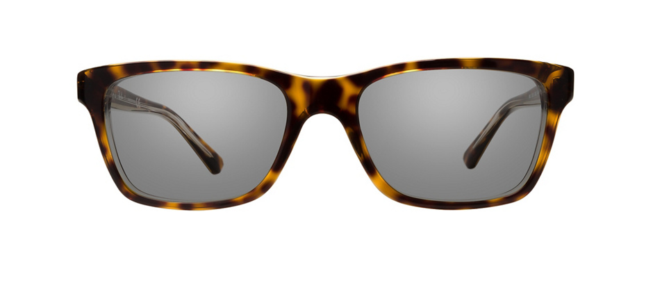 product image of Ray-Ban Junior RB1536-48 Dark Havana