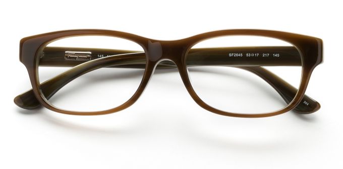 product image of Salvatore Ferragamo SF2645 Brown Horn