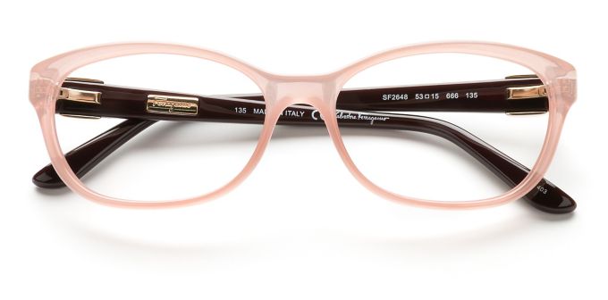 product image of Salvatore Ferragamo SF2648 Rose Plum